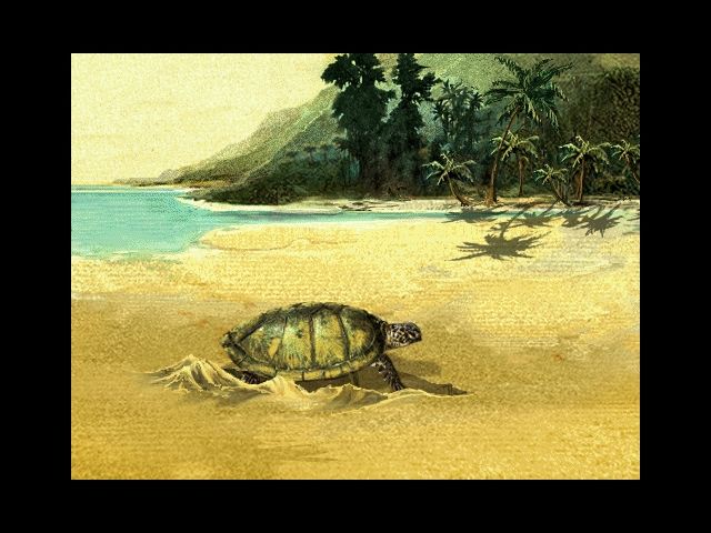 Robinson Crusoe (Windows) screenshot: Sea turtle laying eggs