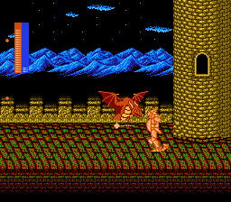 Castle of Dragon (NES) screenshot: Fighting up through Darklarza's castle.