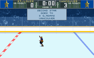 Brett Hull Hockey 95 (DOS) screenshot: Three star players