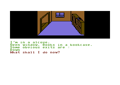 Scott Adams' Graphic Adventure #2: Pirate Adventure (Commodore 64) screenshot: Climbed down the stairs to an alcove