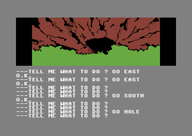 Scott Adams' Graphic Adventure #1: Adventureland (Commodore 64) screenshot: What's down that hole? Who knows?