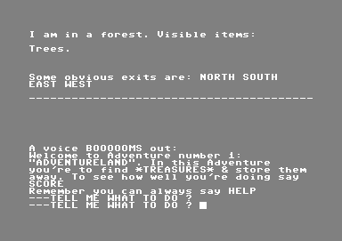 Scott Adams' Graphic Adventure #1: Adventureland (Commodore 64) screenshot: At any time during the game, you can switch to text-only mode