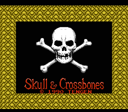 Skull & Crossbones (NES) screenshot: Title screen
