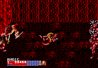 Golden Axe II (Genesis) screenshot: Tyris' special attack is this acrobatic back flip