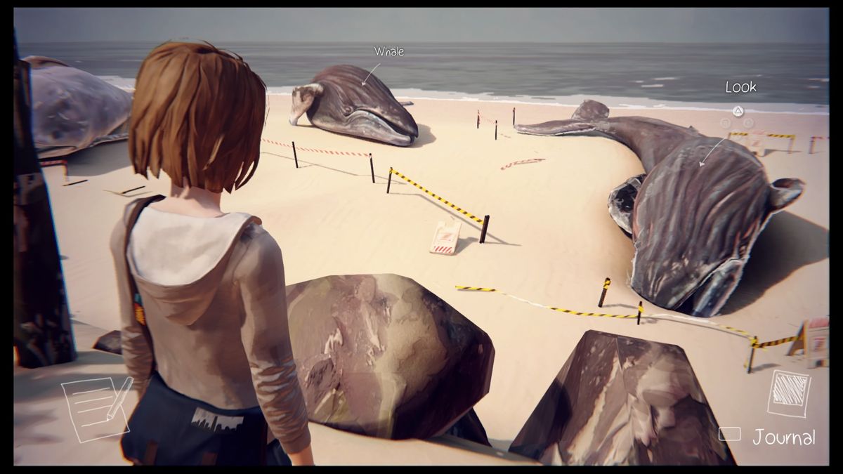 Life Is Strange: Episode 4 - Dark Room (PlayStation 4) screenshot: Taking a photo of whales
