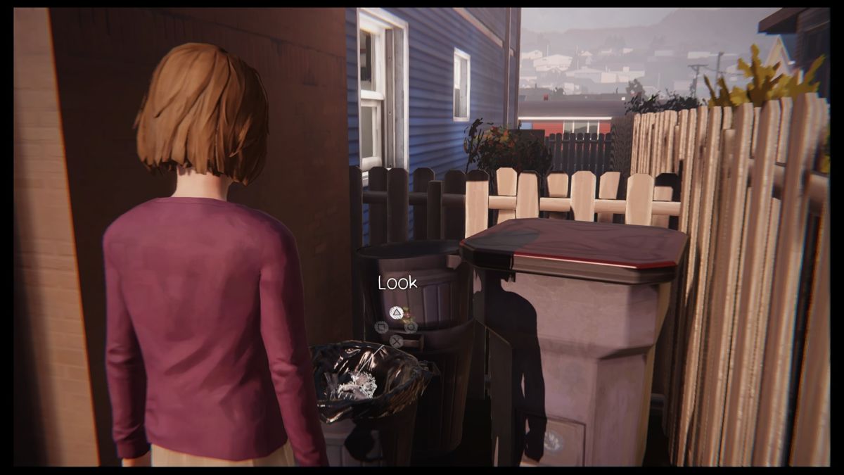 Life Is Strange: Episode 4 - Dark Room (PlayStation 4) screenshot: More dead birds