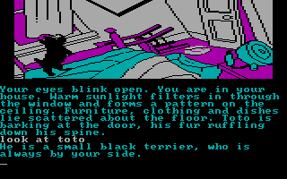 The Wizard of Oz (DOS) screenshot: A disaster!