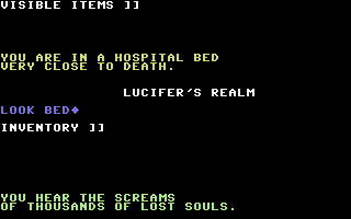 Lucifer's Realm (Commodore 64) screenshot: Next action?
