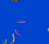 Ecco: The Tides of Time (Game Gear) screenshot: Shoot sonar at Dolphin and