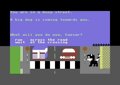 Caesar's Travels (Commodore 64) screenshot: The highway is no place for a cat