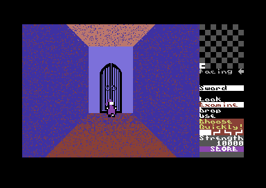 Gates of Dawn (Commodore 64) screenshot: When choosing a command, you must do it quickly