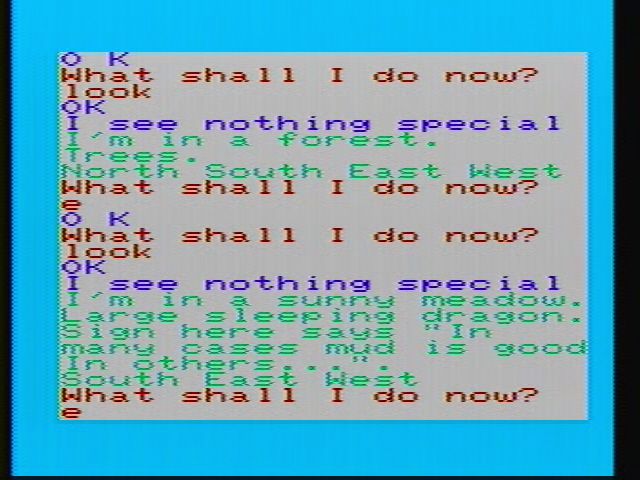 Adventureland (VIC-20) screenshot: The pets people are allowed to keep these days seem to be getting quite exotic. There is no need for me to wake it up for dinner.