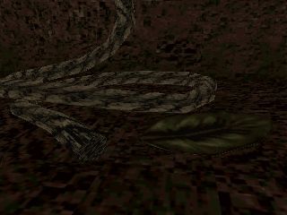 Shadowgate 64: Trials of the Four Towers (Nintendo 64) screenshot: Use the flute at the right place to shrink yourself.