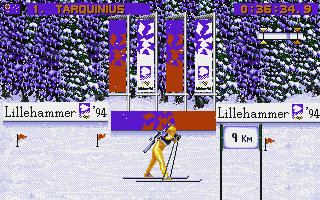 Winter Olympics: Lillehammer '94 (DOS) screenshot: Biathlon - running