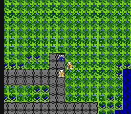 Hoshi o Miru Hito (NES) screenshot: You have entered a town. Towns look really alike.
