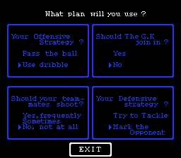 Nintendo World Cup (NES) screenshot: What plan will you use?