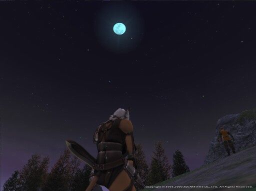 Final Fantasy XI Online (Windows) screenshot: Meditating on the moon in La Theine Plateau.