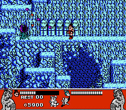 Conquest of the Crystal Palace (NES) screenshot: Careful of those deadly plants!