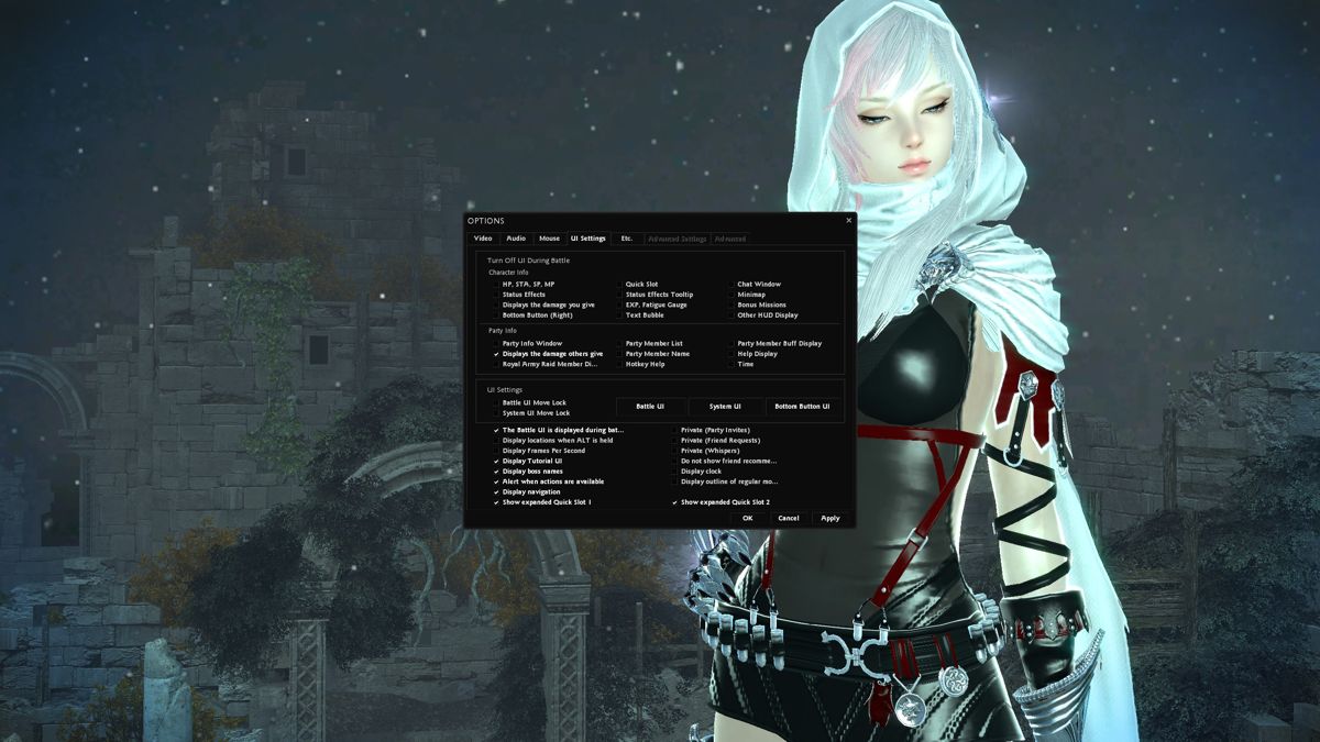 Vindictus (Windows) screenshot: The options tab allows the player to select windowed or full screen modes and tweak many other in-game settings