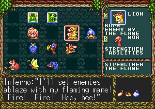 Crusader of Centy (Genesis) screenshot: The party (or should I say inventory?) at a certain part of the game