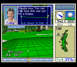 Pebble Beach Golf Links (SNES) screenshot: Some hints