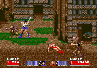 Golden Axe II (Genesis) screenshot: It just wouldn't be a true beat 'em-up without a two-player co-op mode