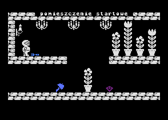 Roderic (Atari 8-bit) screenshot: Beginning of the game