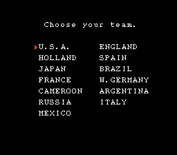 Nintendo World Cup (NES) screenshot: Choose you team.