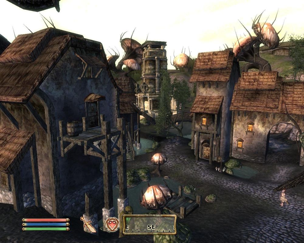 The Elder Scrolls IV: Shivering Isles (Windows) screenshot: The village of Passwall.