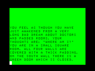 Bedlam (TRS-80 CoCo) screenshot: The game begins in a padded room