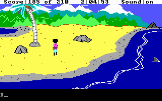 King's Quest III: To Heir is Human (DOS) screenshot: Walking along a beach. (EGA/Tandy)
