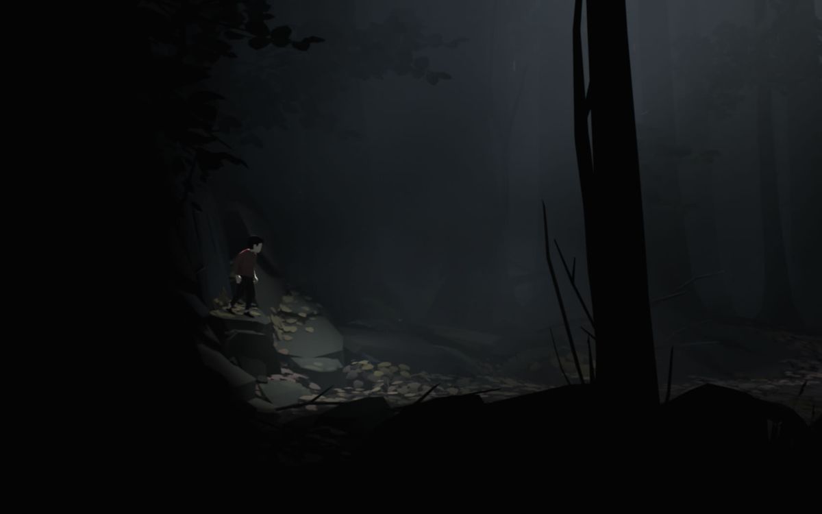 Inside (Windows) screenshot: The boy in the very first scene of the game, very similar to how <moby game="Limbo">Limbo</moby> starts.