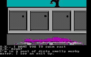 Sorcerer of Claymorgue Castle (DOS) screenshot: There is an obvious exit up...