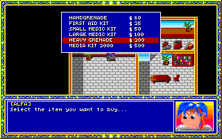 Avalon (DOS) screenshot: There is also an item shop in addition to the equipment shop.