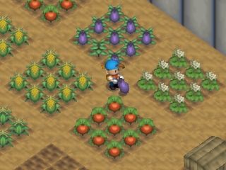 Harvest Moon 64 (Nintendo 64) screenshot: In the greenhouse you can cultivate anything without worrying about the right season