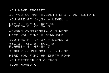 Screenshot of The Wizard's Castle (Commodore PET/CBM, 1979) - MobyGames