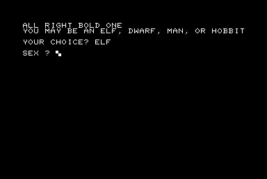 The Wizard's Castle (Commodore PET/CBM) screenshot: Setting up your character.