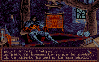 Crystals of Arborea (DOS) screenshot: This warrior offers you a lesson. (VGA)