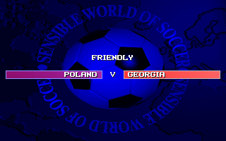 Sensible World of Soccer (DOS) screenshot: Friendly match