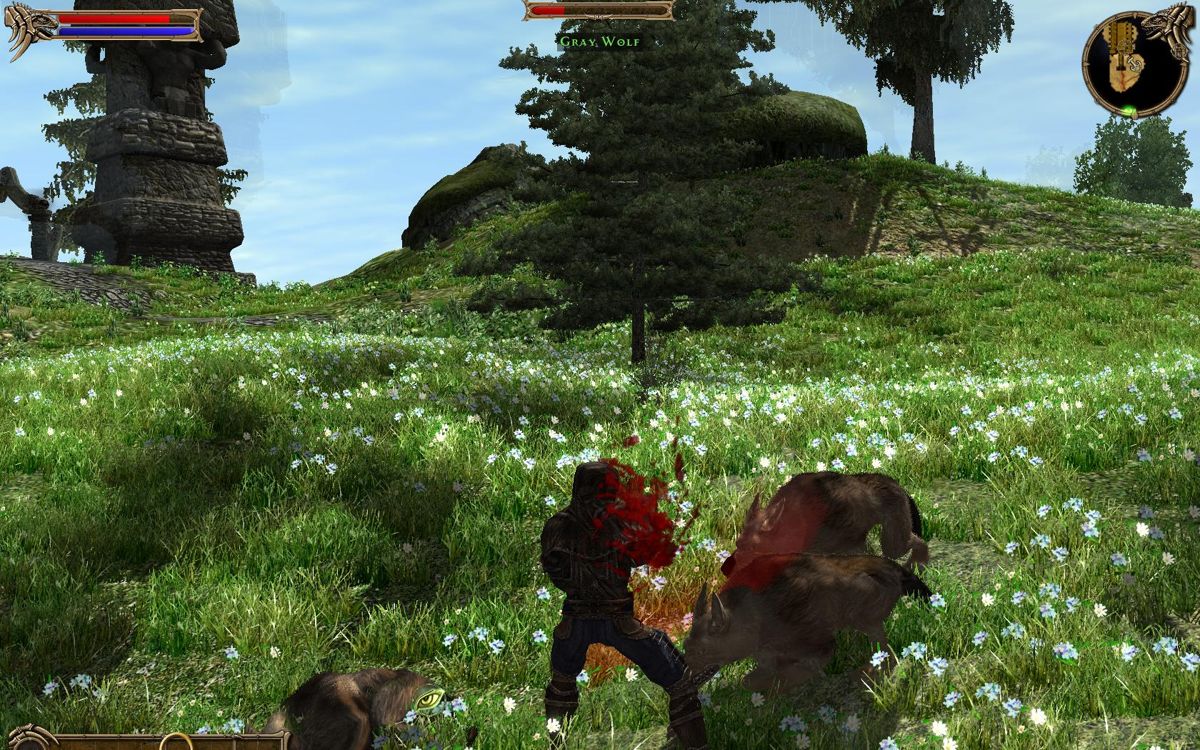 Two Worlds (Windows) screenshot: Fighting off a pack of wolves.