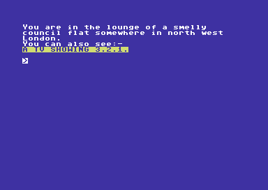 Hampstead (Commodore 64) screenshot: Where next?