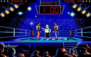 Best of the Best Championship Karate (DOS) screenshot: The fight is about to begin. (EGA)
