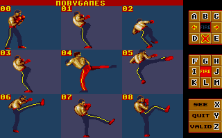 Best of the Best Championship Karate (DOS) screenshot: Taking a look at the moves I can do. (VGA)