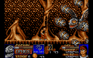 Risky Woods (DOS) screenshot: Ophios, the boss