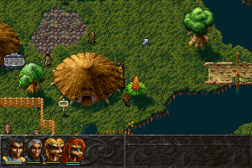 Albion (DOS) screenshot: Not all villages are shown in 3D, as you can see here