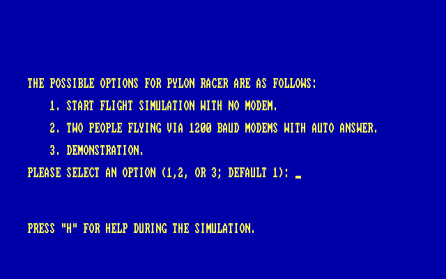Pylon Racer (DOS) screenshot: Game options