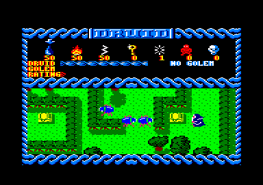 Druid (Amstrad CPC) screenshot: I can get things from these