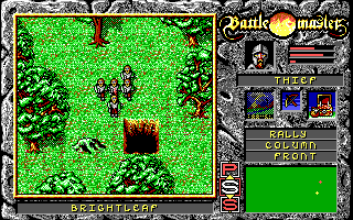Battle Master (DOS) screenshot: A group of thieves set off a trap in Brightleaf forest.