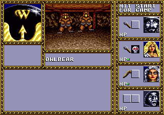 Dungeons & Dragons: Warriors of the Eternal Sun (Genesis) screenshot: Fight some owl bears.