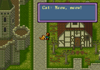 Beggar Prince (Genesis) screenshot: Stimulating conversation with a villager-turned-cat.